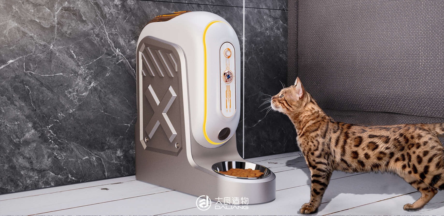 宠物猫Omiki_宠物图片图片