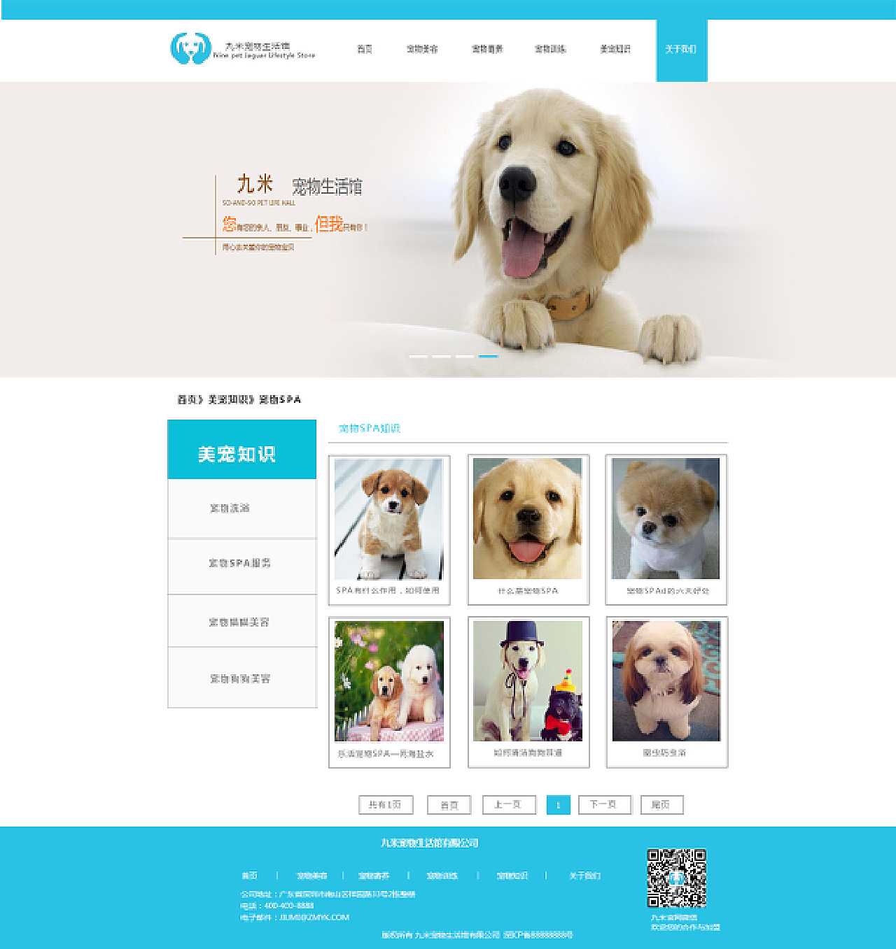宠物狗狗狗_宠物图片小精灵图鉴