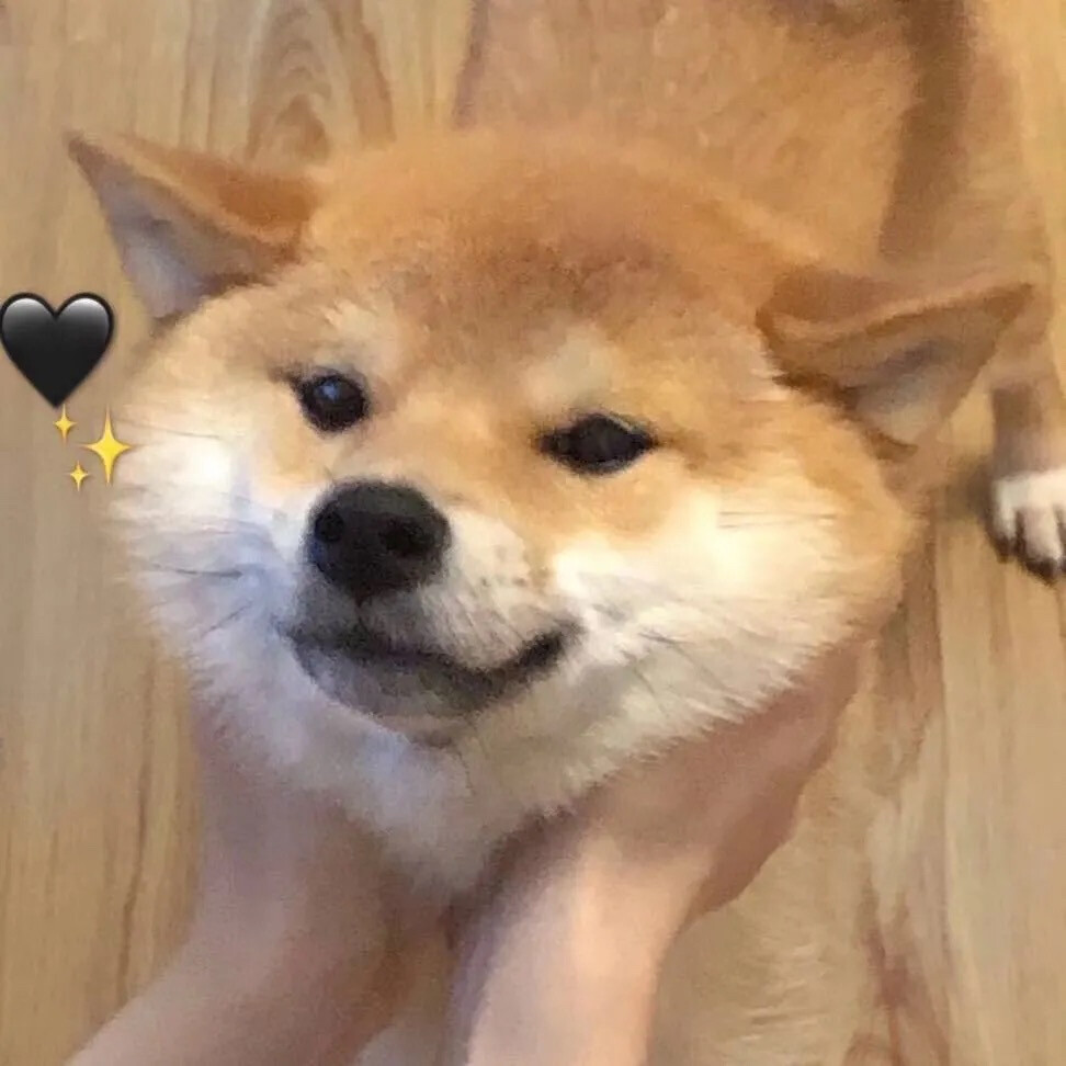 宠物蛇Collie_宠物图片狗的品种图片大全