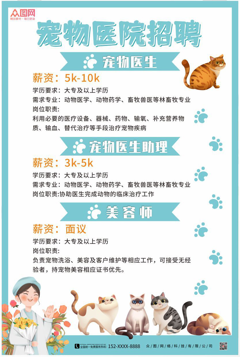 宠物猫背景白_宠物图片蛇