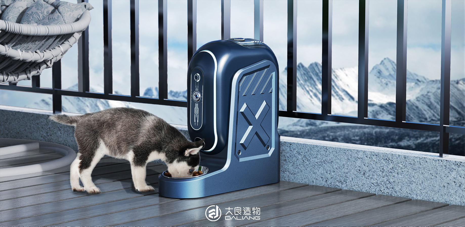 宠物狗猫咪图片_宠物图片蛇