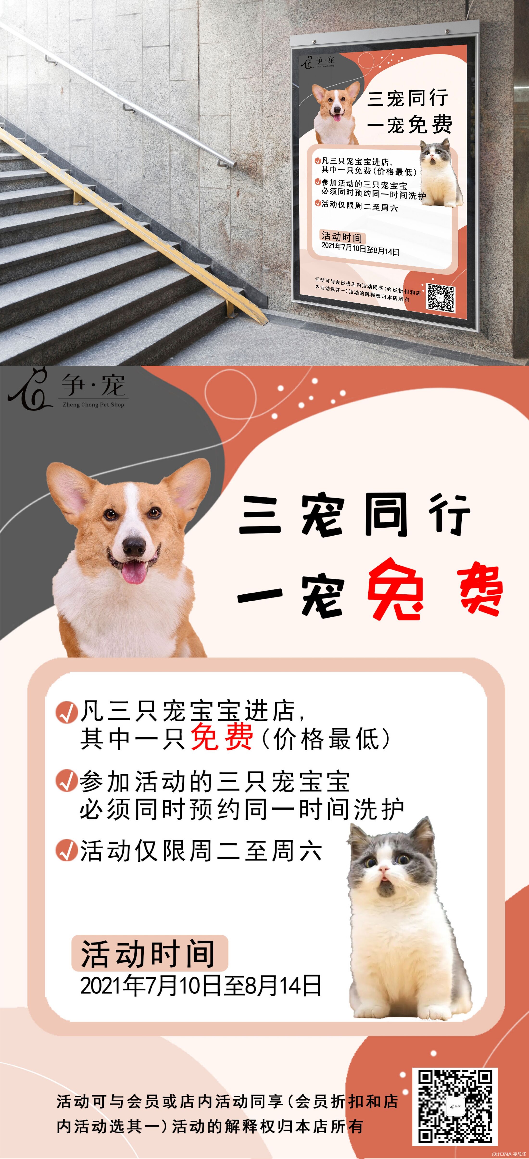 宠物狗狗图片品种大全Funny_宠物图片头像