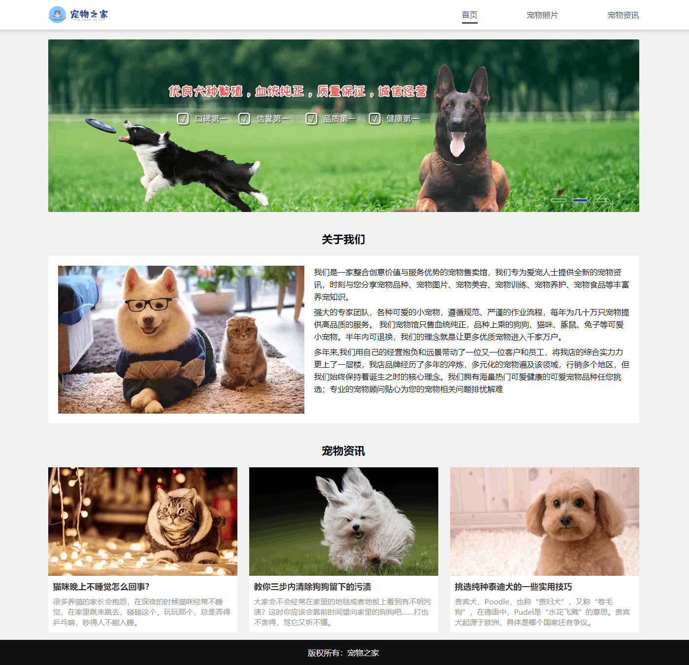 宠物小精灵Dog_宠物图片狗