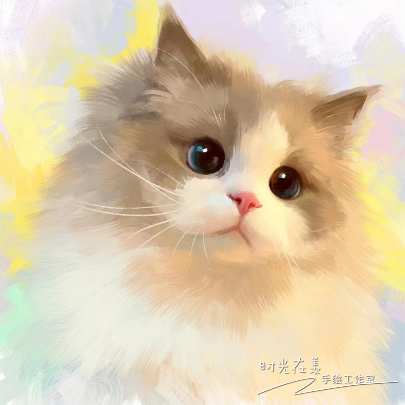 宠物狗狗图片品种大全萌猫_宠物图片猫的品种图片大全