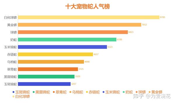 宠物小精灵Birthday_宠物图片头像