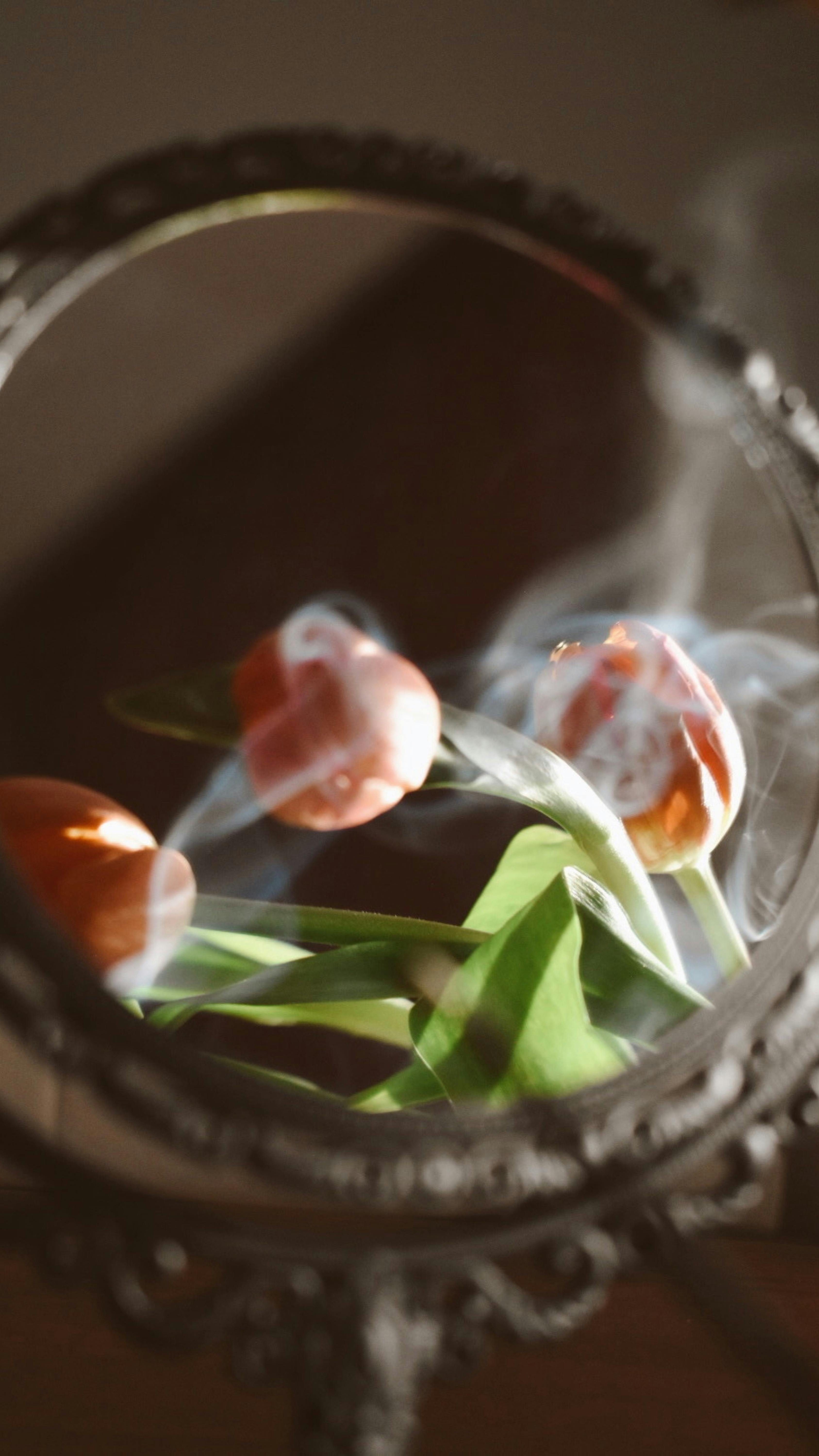 壁纸可爱动漫_复古镜子中优雅的橙色郁金香倒影