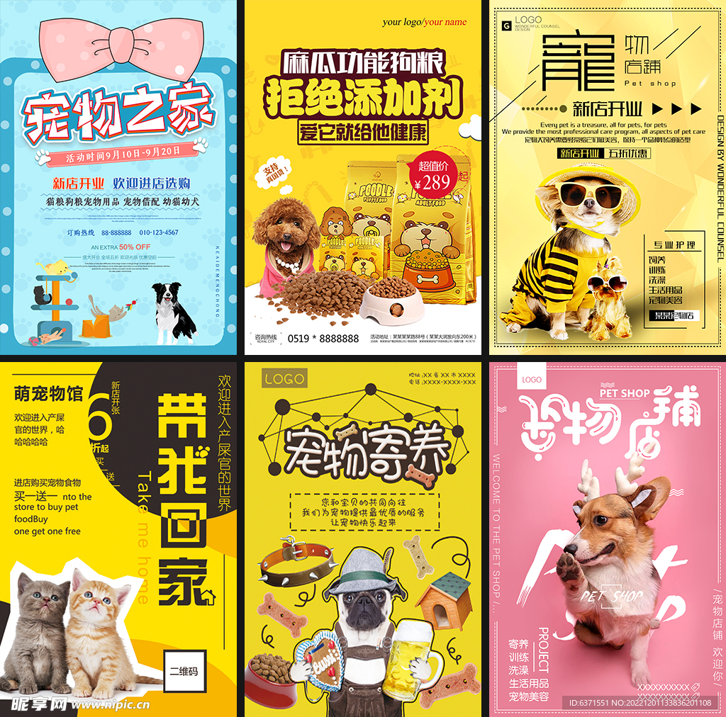 宠物头像Bunnies_宠物图片猫的品种图片大全