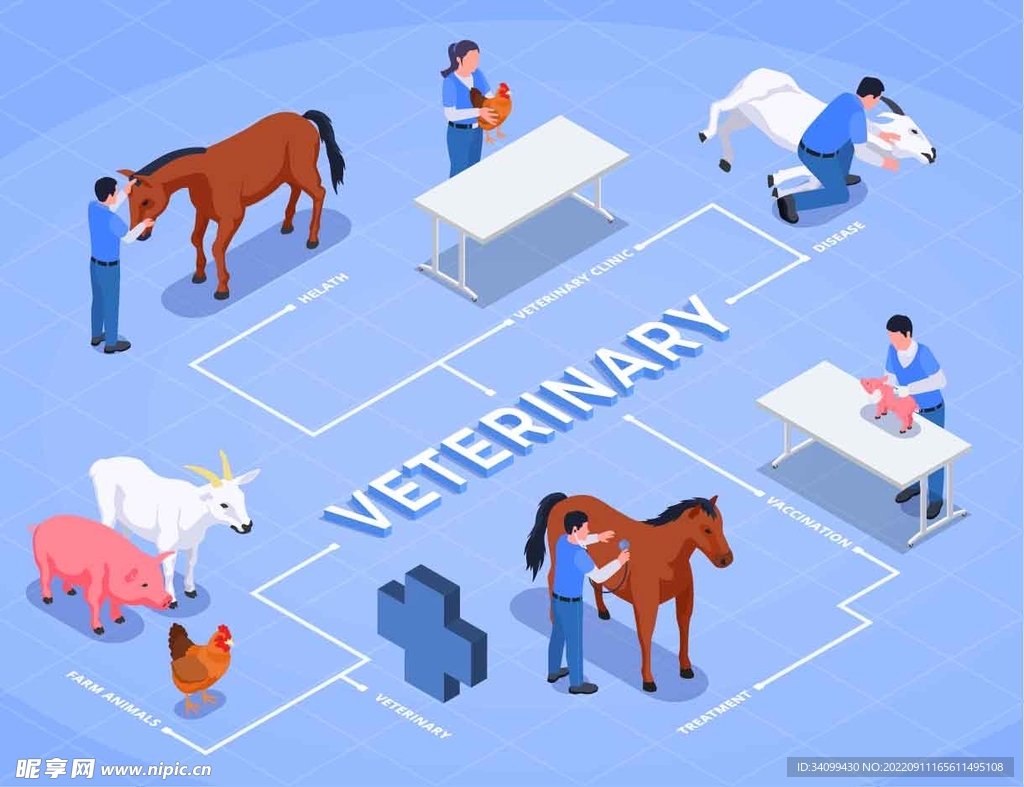 宠物头像Galgo_宠物图片狗