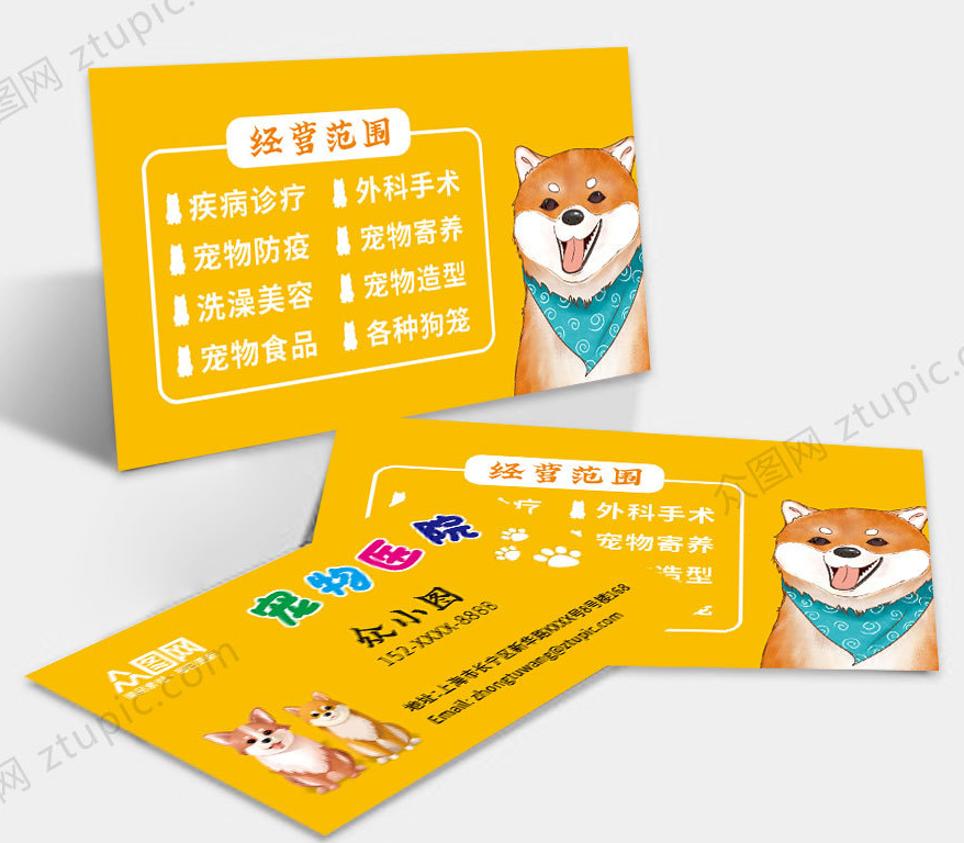 宠物猫的品种图片大全4K_宠物图片狗的品种图片大全