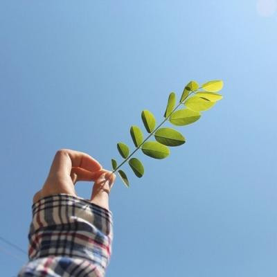美景图片可保存相册夏天_美景图片高清大图图片