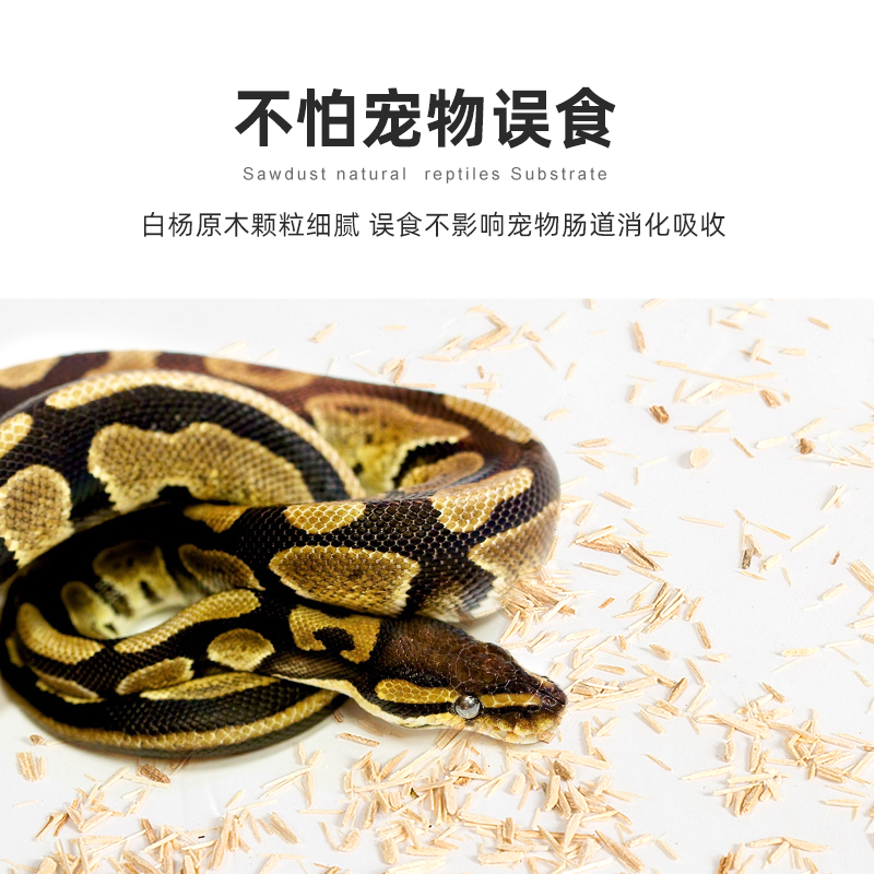 宠物小精灵背景白_宠物图片狗的品种图片大全