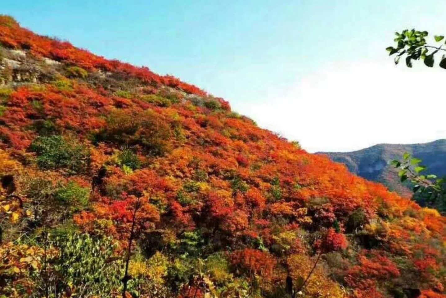 美景图片大全自然景象Japan's_美景图片高清大图图片高清大图