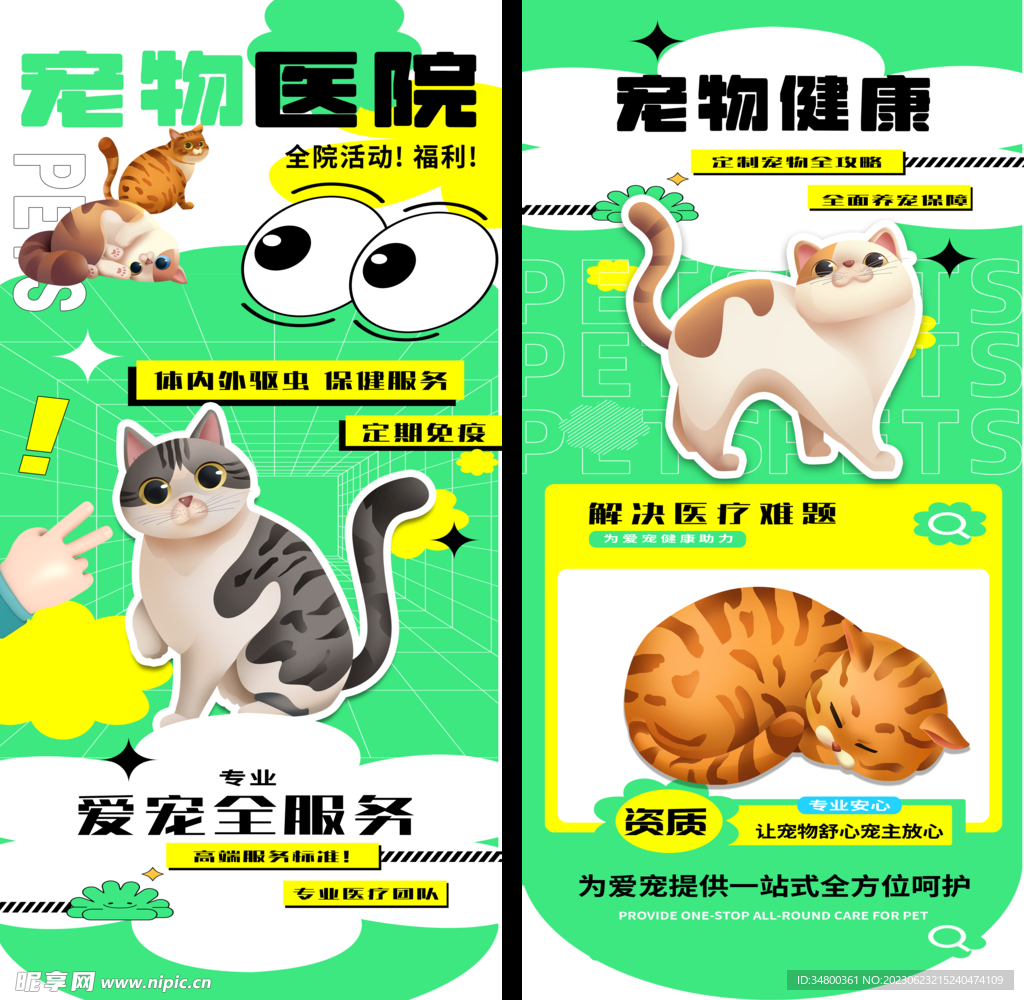 宠物猫的品种图片大全插图_宠物图片蛇