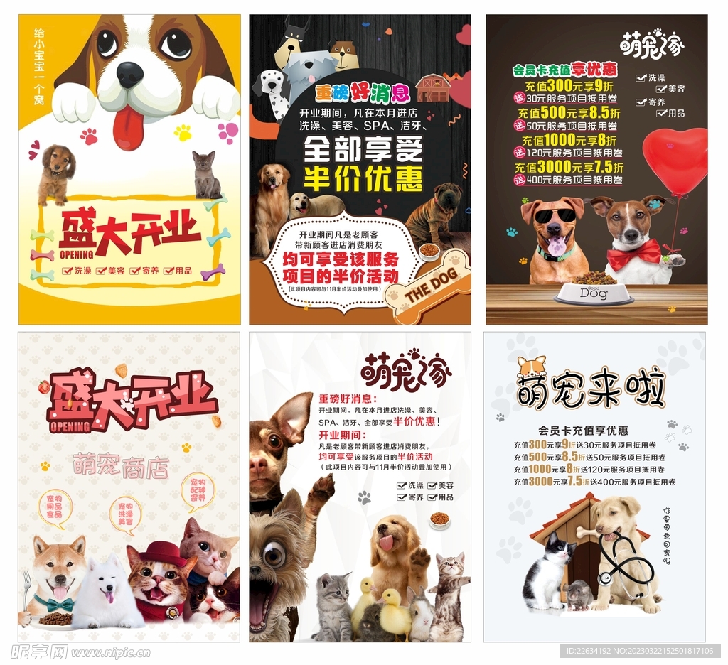 宠物狗壁纸猫_宠物图片猫的品种图片大全