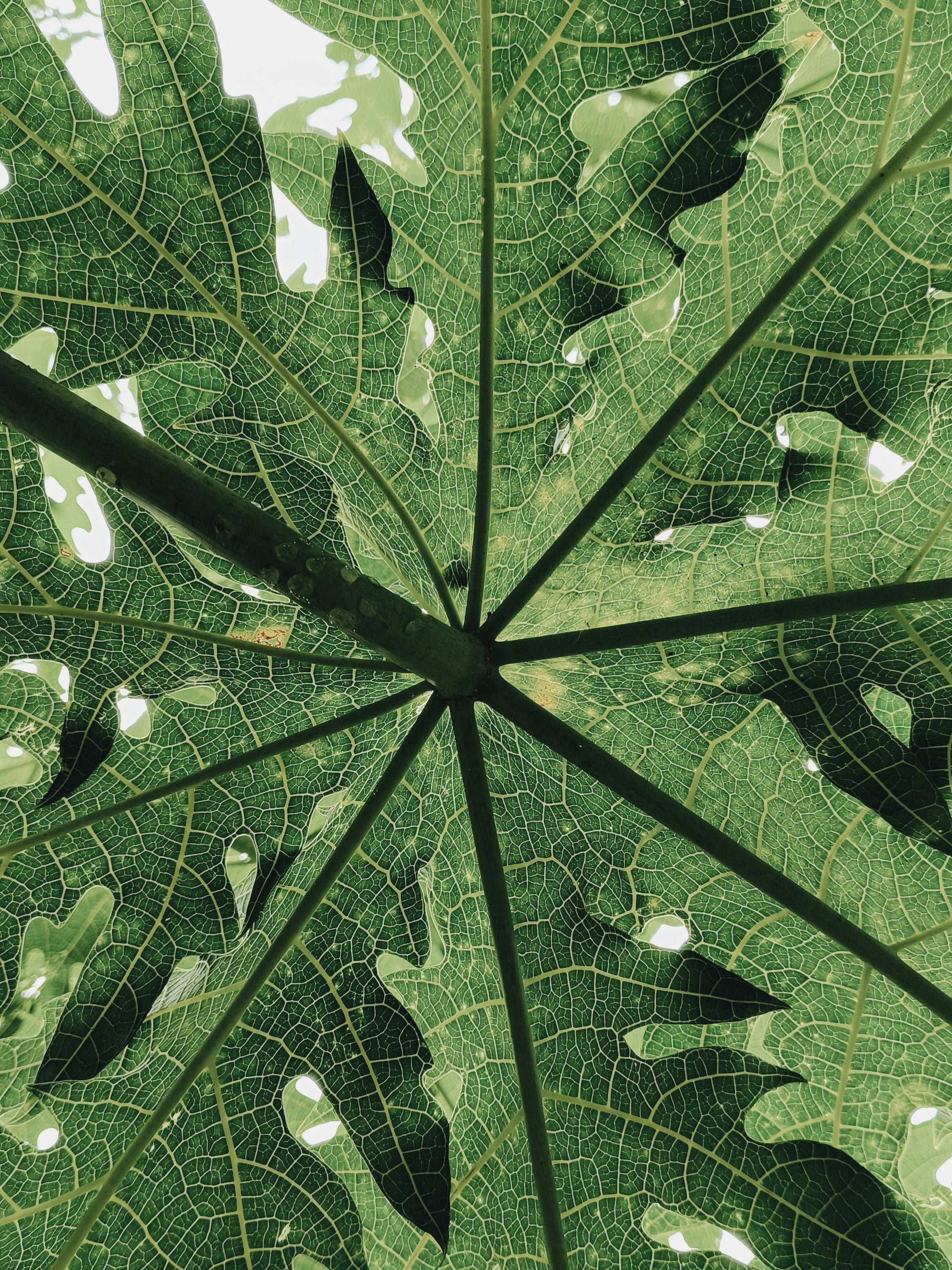 美景图片Wallpaper_阿克塞尔塔