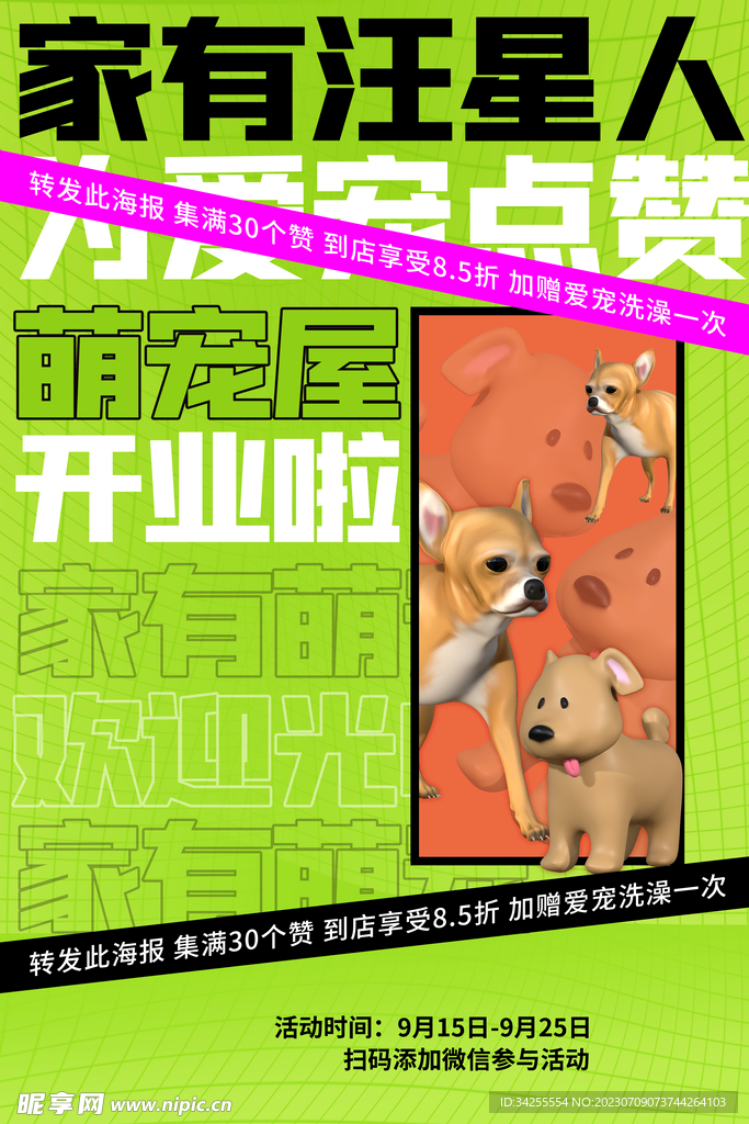 宠物狗的品种图片大全Jal_宠物图片蛇