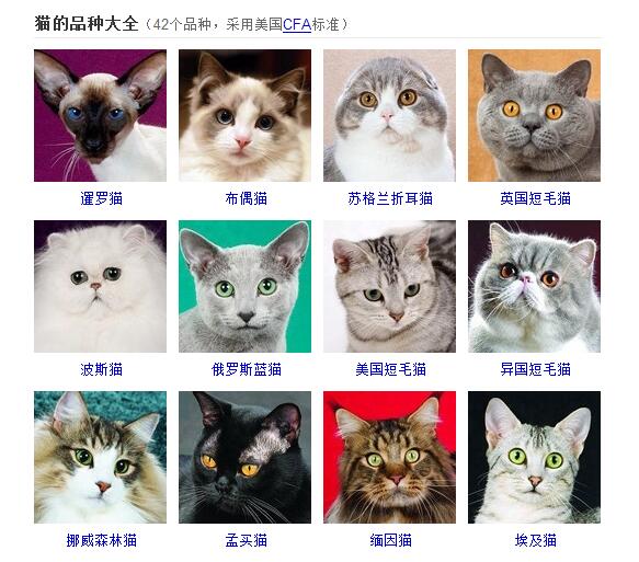 宠物图片宠物_宠物图片狗狗图片品种大全
