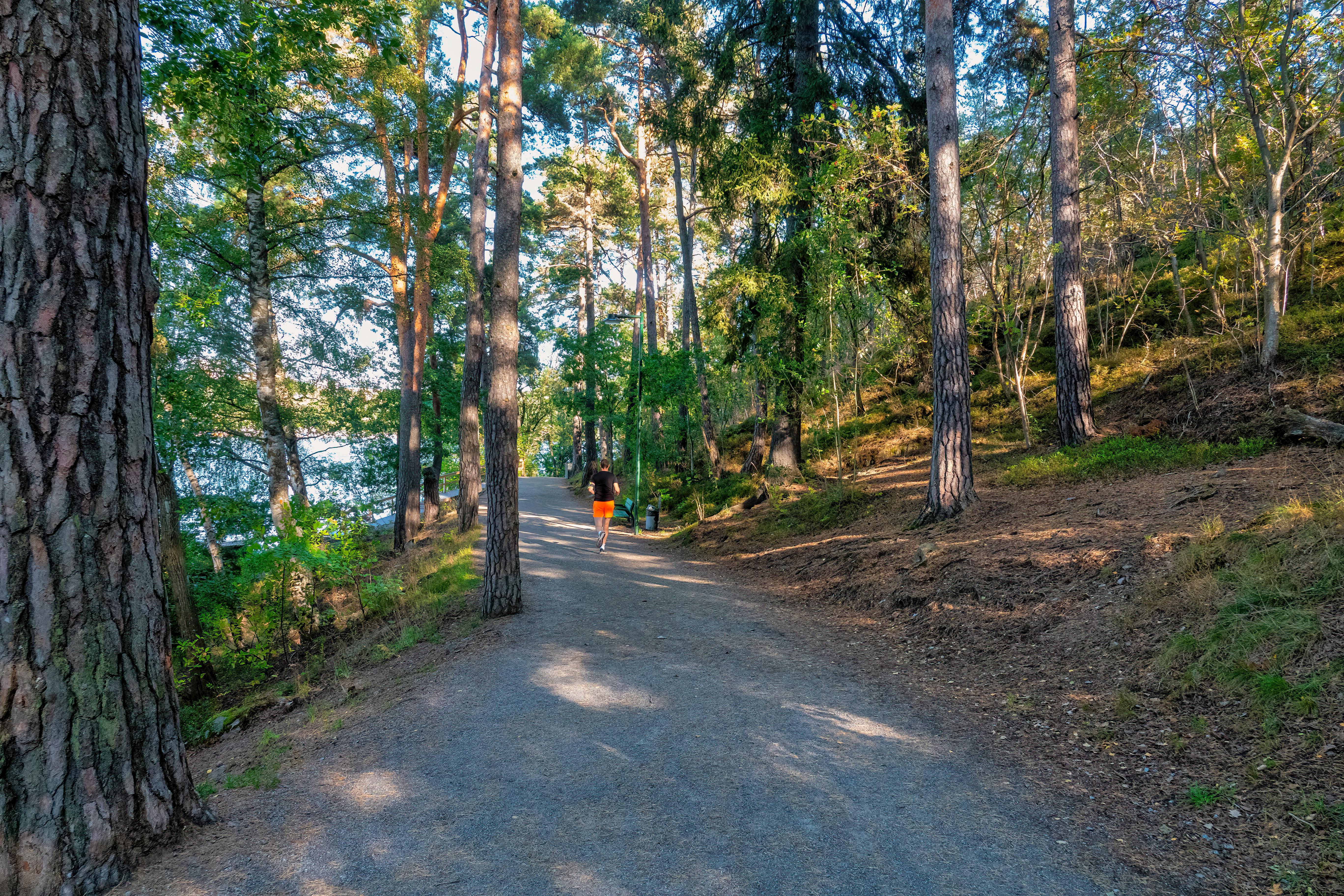 美景图片张掖_穿过秋季森林道路的年轻人