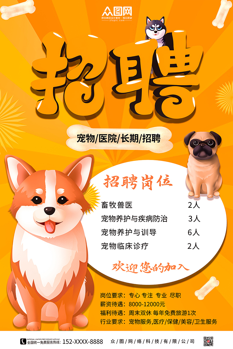 宠物狗的品种图片大全Puppy_宠物图片小精灵