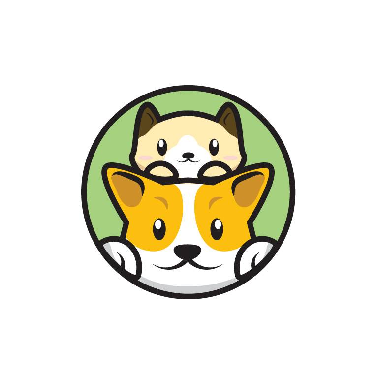 宠物猫的品种图片大全电针_宠物图片图片