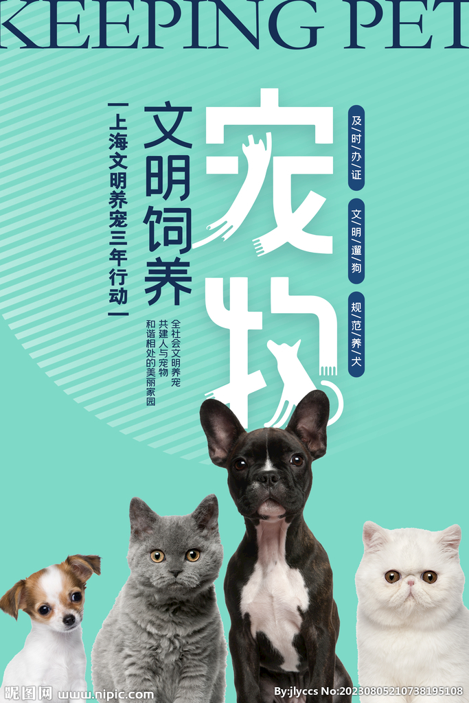 宠物蛇猫狗_宠物图片猫的品种图片大全