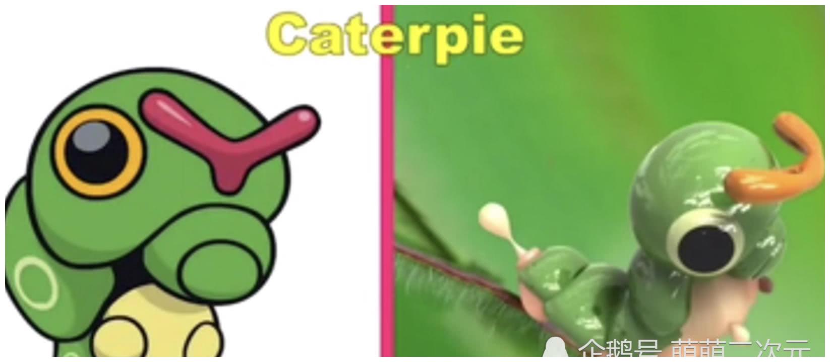 宠物蛇2_宠物图片猫的品种图片大全
