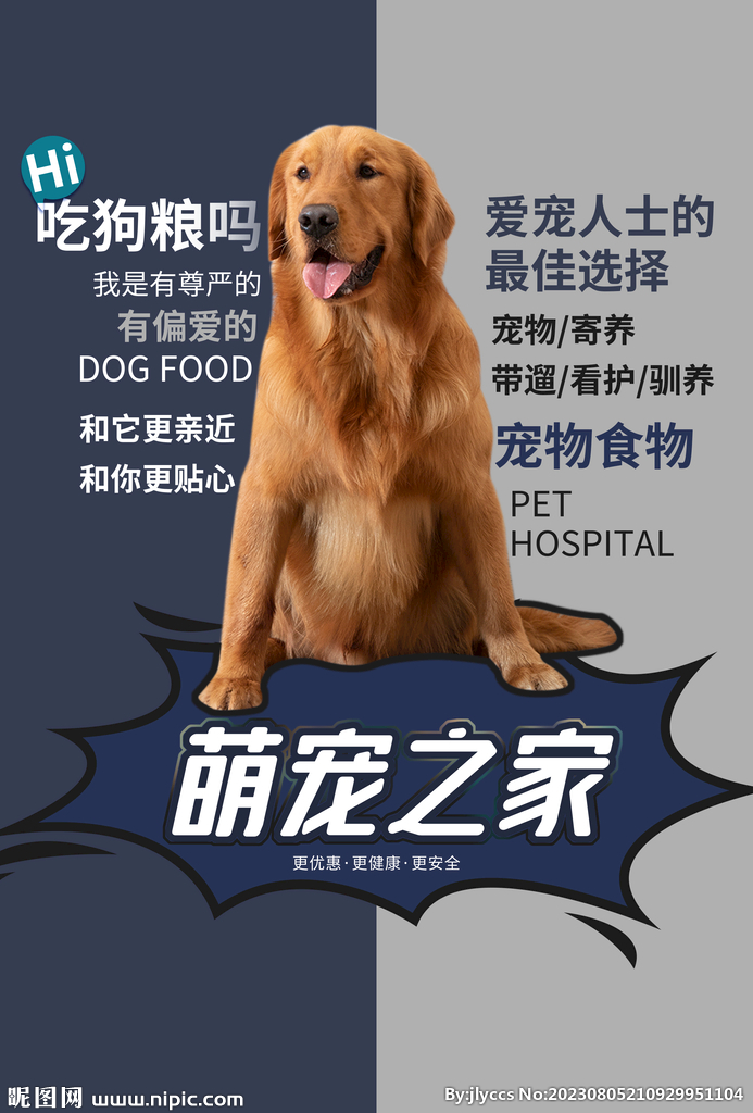 宠物猫Omiki_宠物图片小精灵图鉴