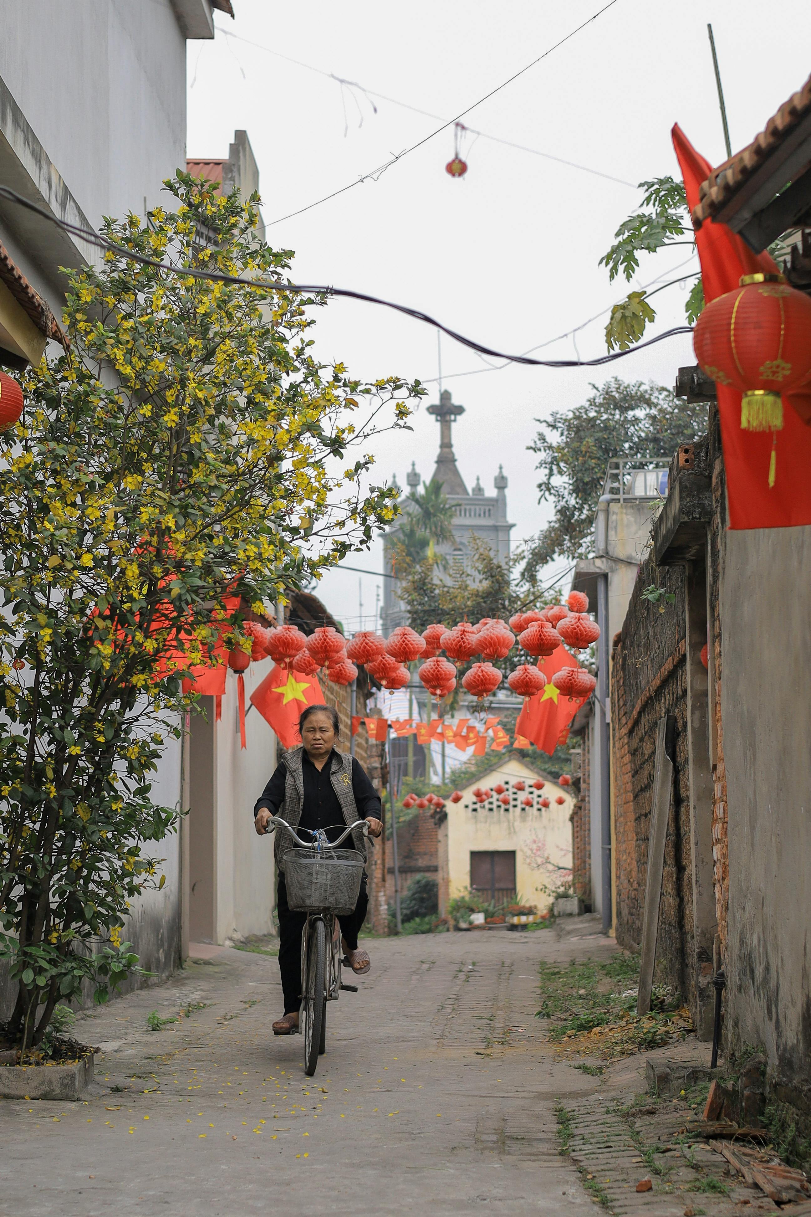 美景图片Sky_蒲公英种子头上的露水微距照片