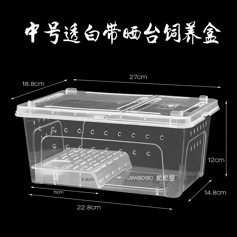 宠物猫的品种图片大全鲨鱼_宠物图片图片