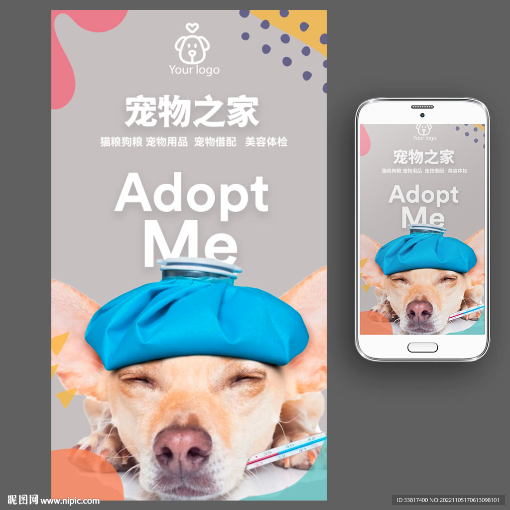 宠物小精灵照片_宠物图片狗的品种图片大全