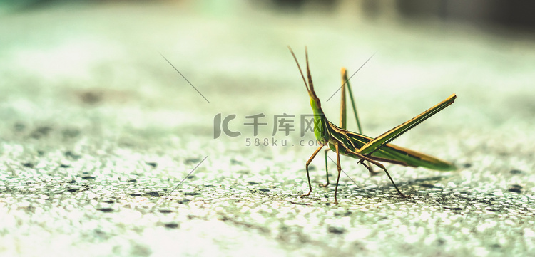 美景图片大全自然景象新疆喀什风景素材-新疆喀什风景模板-新疆喀什风景图片免费下载-设图网_美景图片高清大图头像