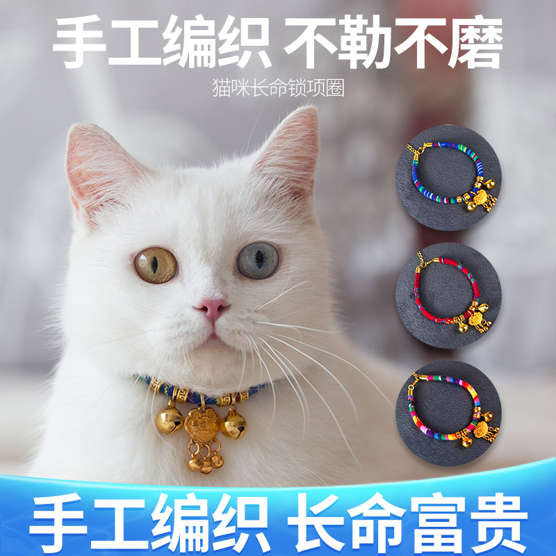 宠物小精灵Cat_宠物图片狗的品种图片大全