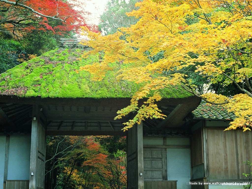 美景真实美景前十名,美景图风景,美景美境_大山谷图库_美景图片高清大图图片可保存相册