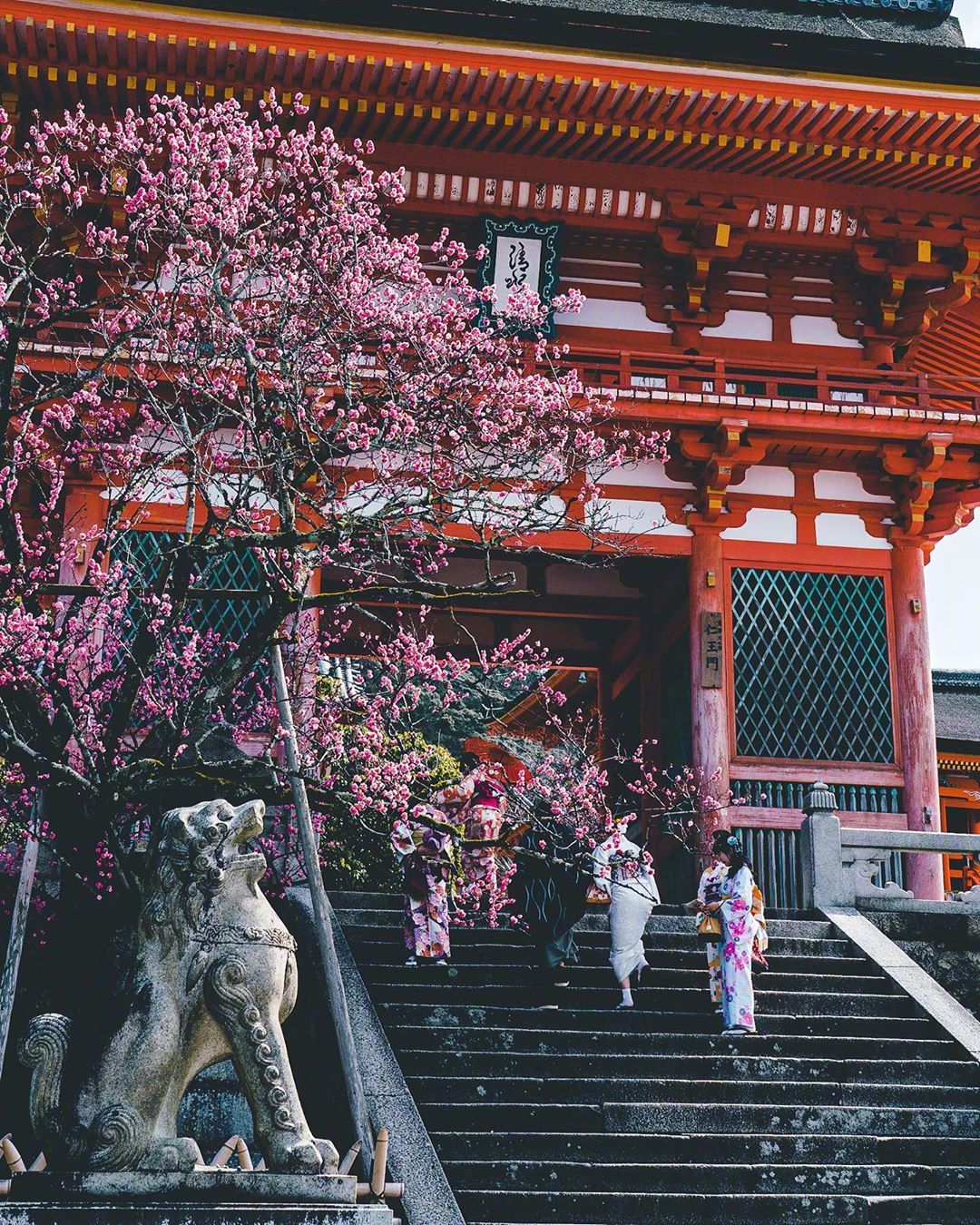 美景美境（大美中国）夏景科尔沁大草原_美景图片高清大图图片壁纸