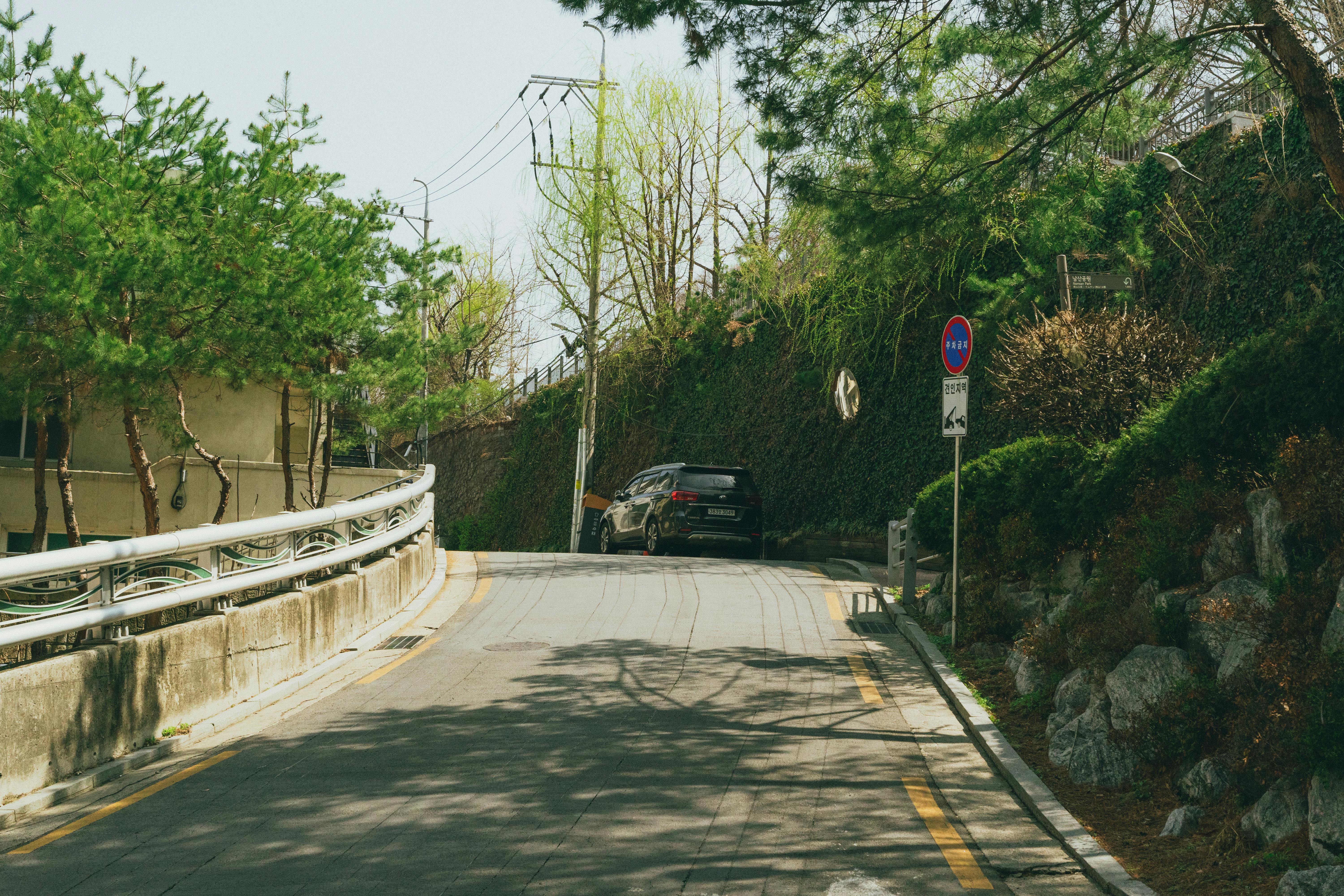 手机壁纸崩坏_韩国首尔风景秀丽的春天街道
