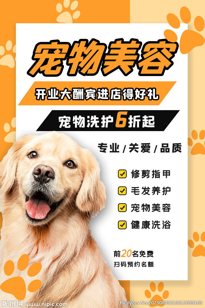 宠物猫的品种图片大全Jal_宠物图片头像