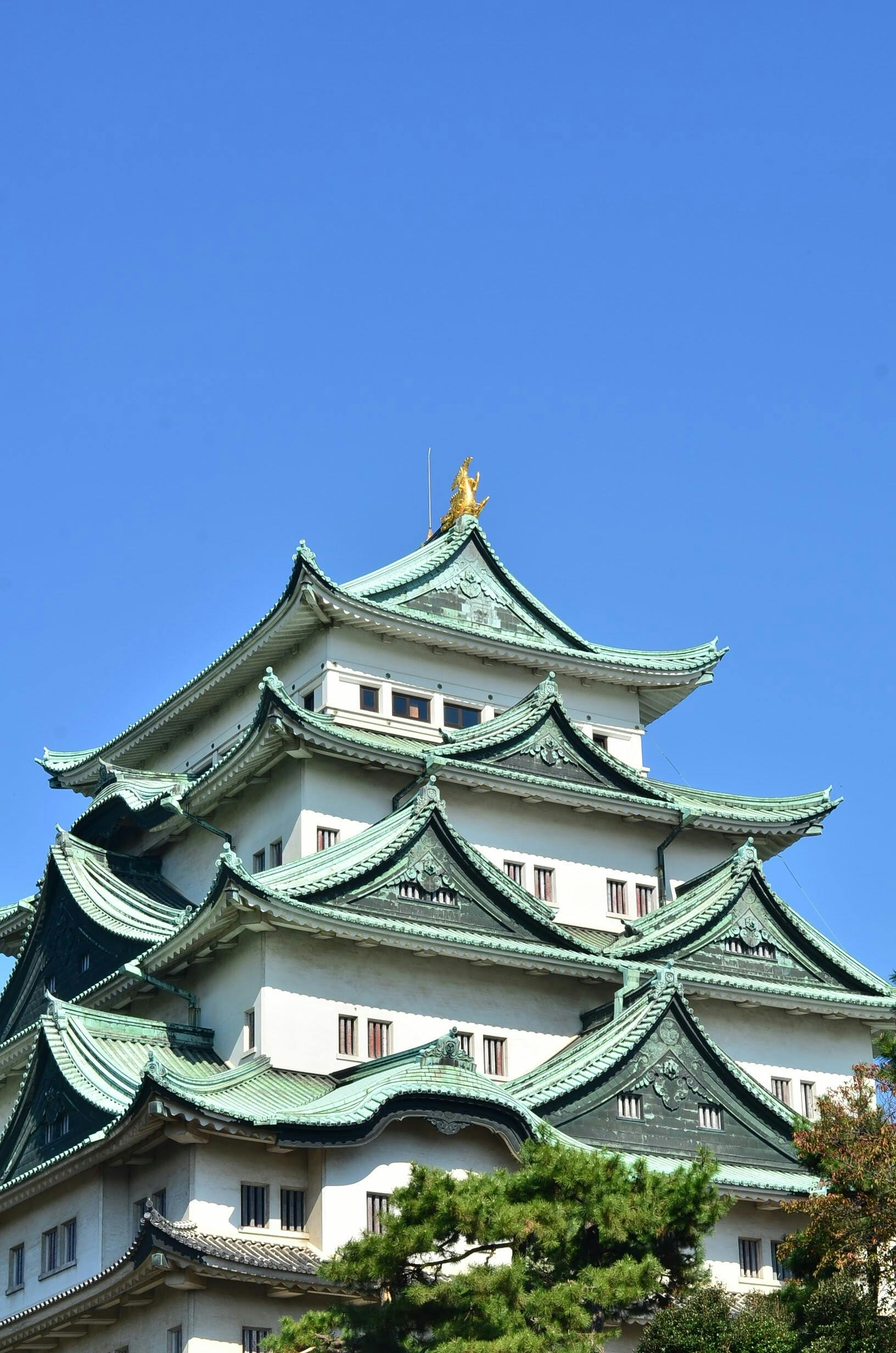 壁纸图片雪山壁纸_马德拉徒步景观