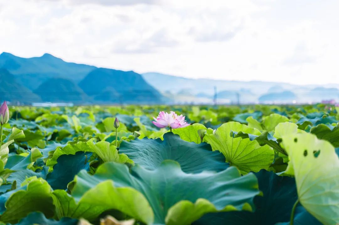 美景真实1200壁纸,潮流风景-PS幻想风景壁纸(第四辑)壁纸图片-风景壁纸-风景图片素材_美景图片高清大图图片高清大图