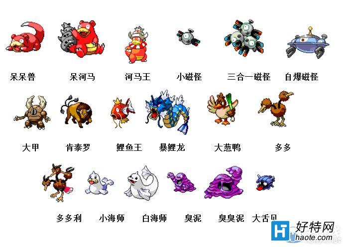 宠物狗Puppy_宠物图片头像