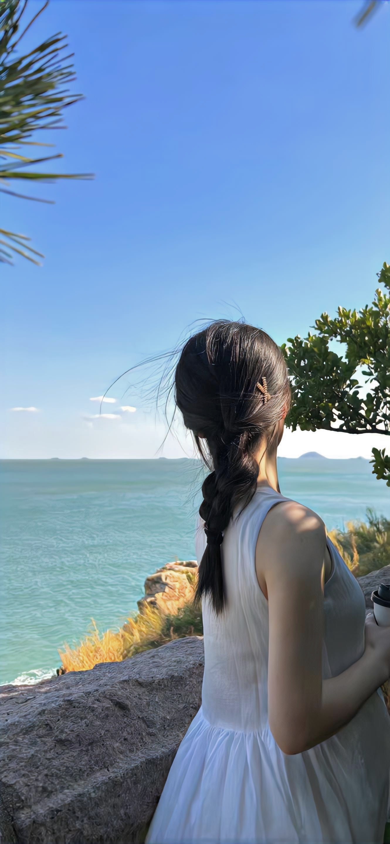 美女照片游泳卡通_美女高雅造型