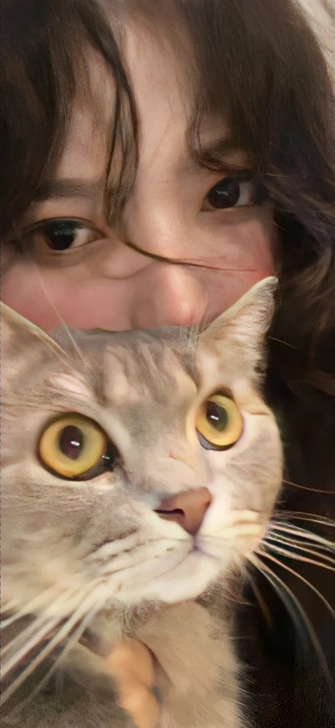 美女照片_美女头像