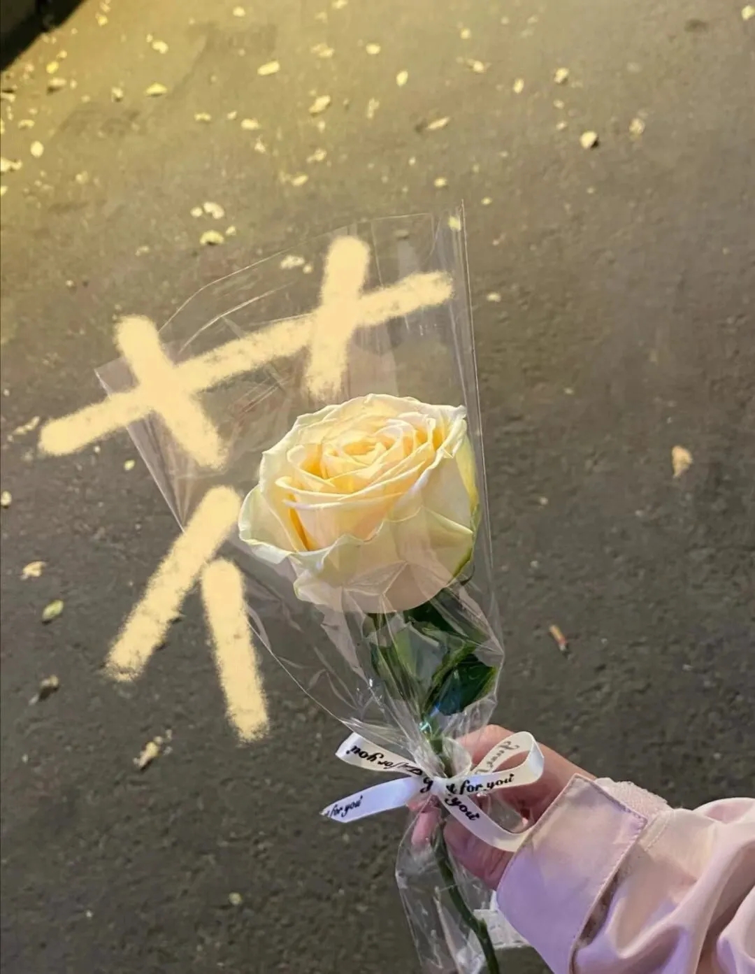美女高雅造型_美女照片头像