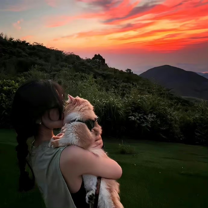 美女头像真人可爱_美女高雅造型