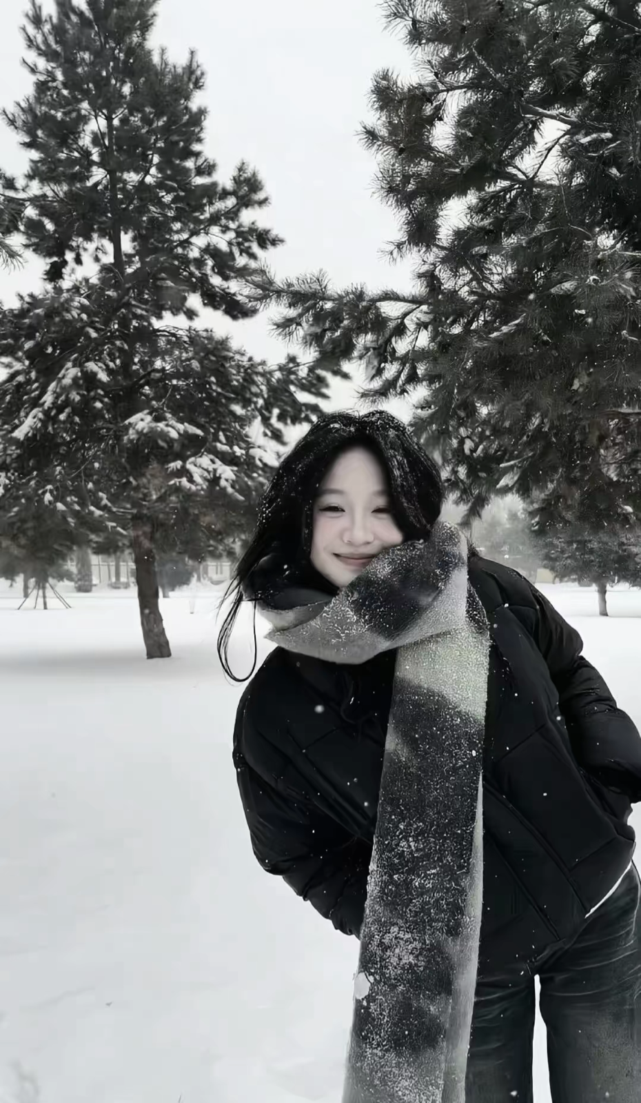 美女头像高冷_美女壁纸