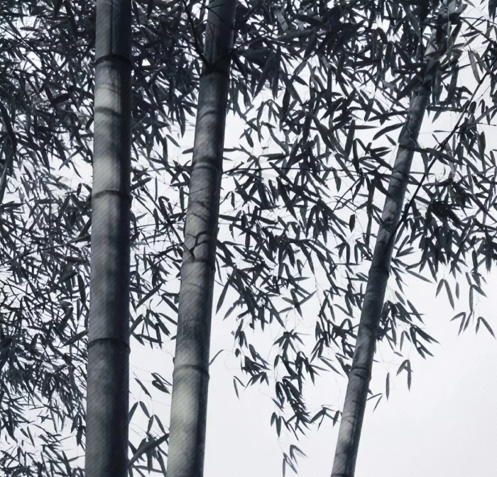 苍白骑士[普通话]美女头像真人侧脸